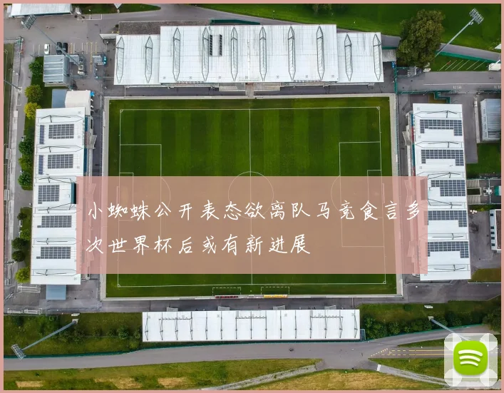 小蜘蛛公开表态欲离队马竞食言多次世界杯后或有新进展
